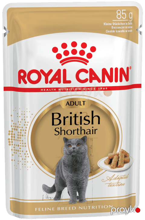 Nəm yem pişiklər üçün Royal Canin British Shorthair Adult sousda 85 q — Bakı
