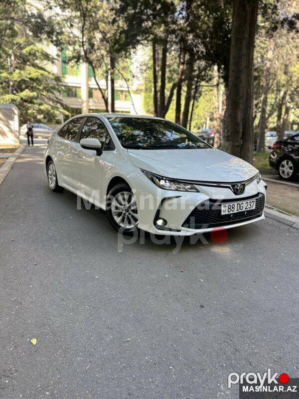 Toyota coralla, 2026 il — Minik avtomobili icarəsi, Bakı (2)