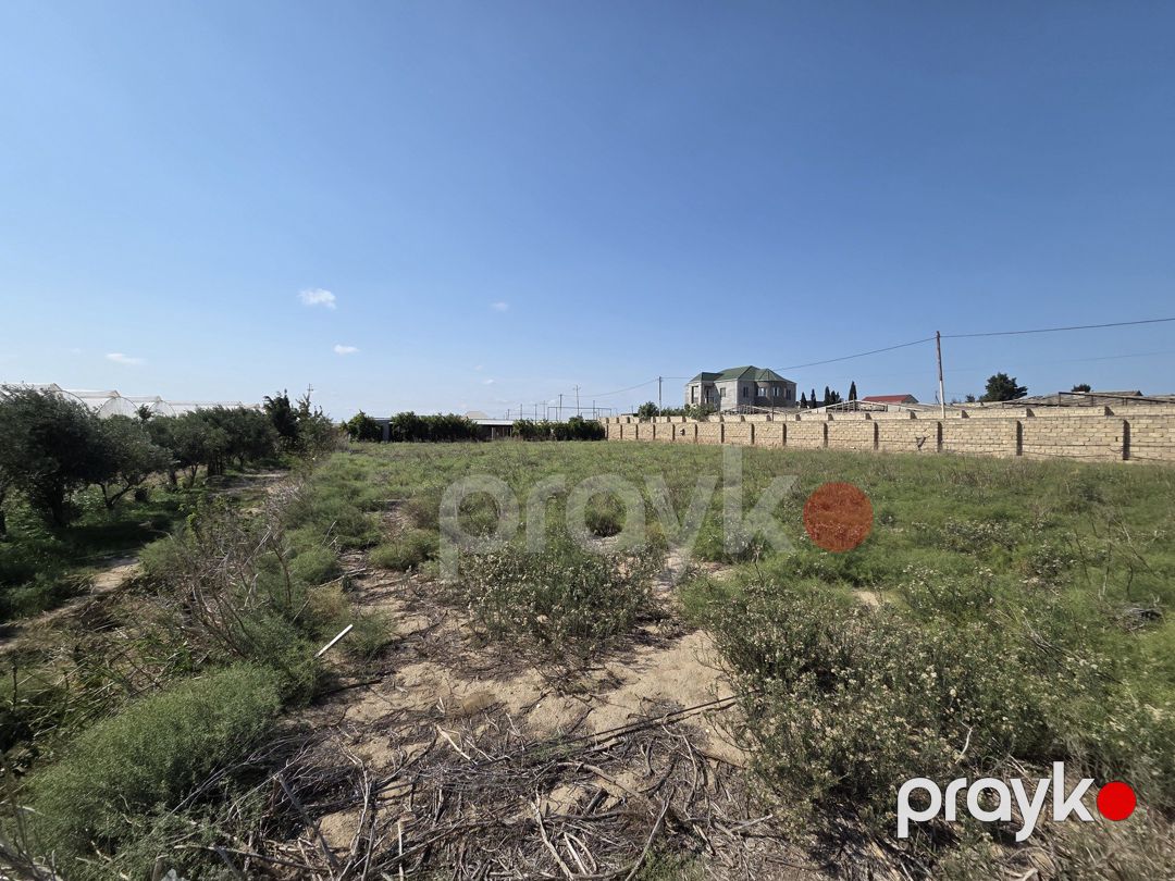 170 sot torpaq sahəsi, Zirə qəs — Torpaq, Bakı (6)
