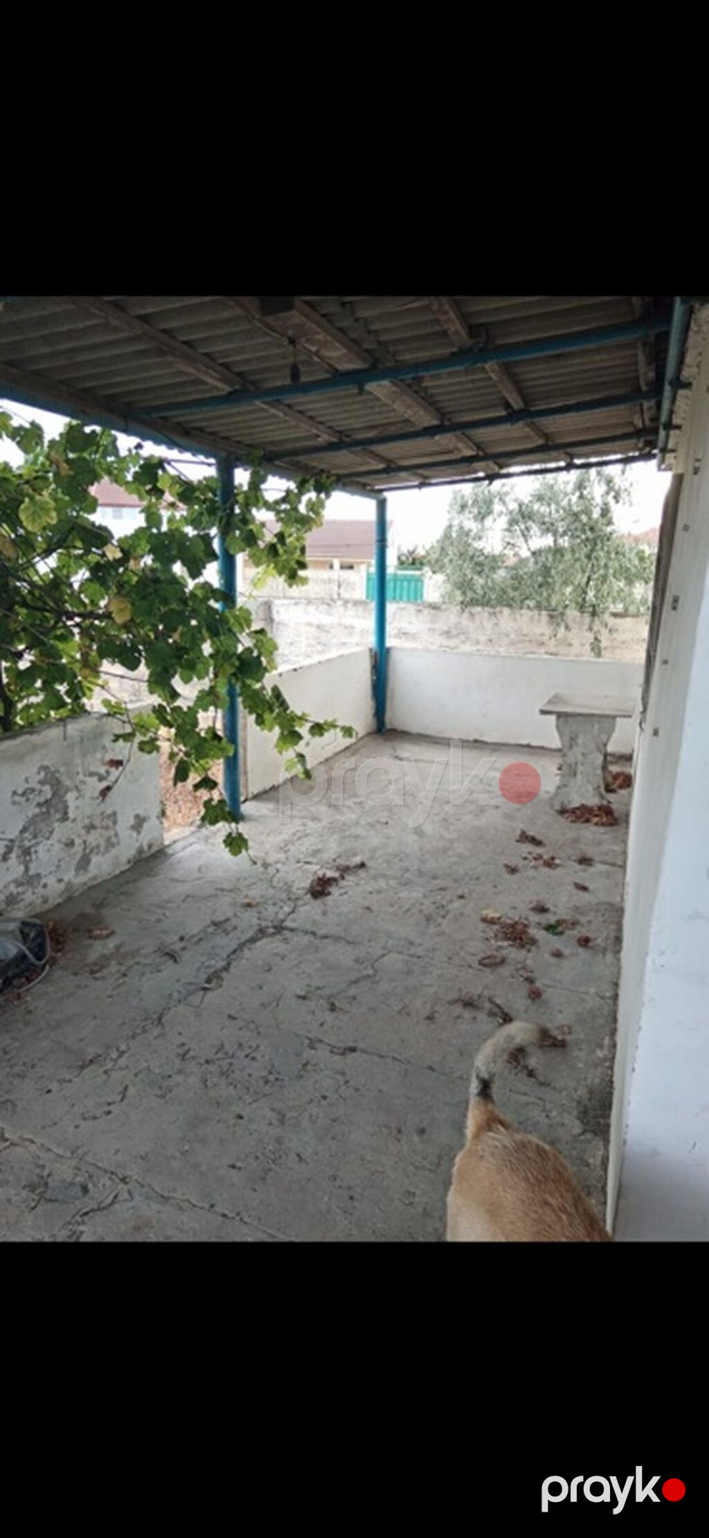 12 sot, Tikinti, Mülkiyyətçi, Kupça (Çıxarış) — Torpaq, Digah (3)