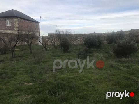 Xüsusi mülkiyyət, su, işıq, qaz, internet xətləri mövcüddur. Hamısı — Saray