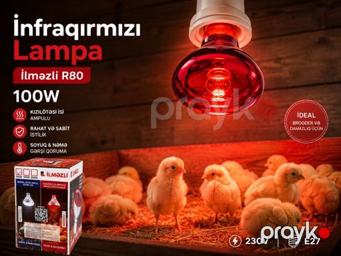 İnfraqırmızı Lampa 100W İlməzli R80 — Bakı