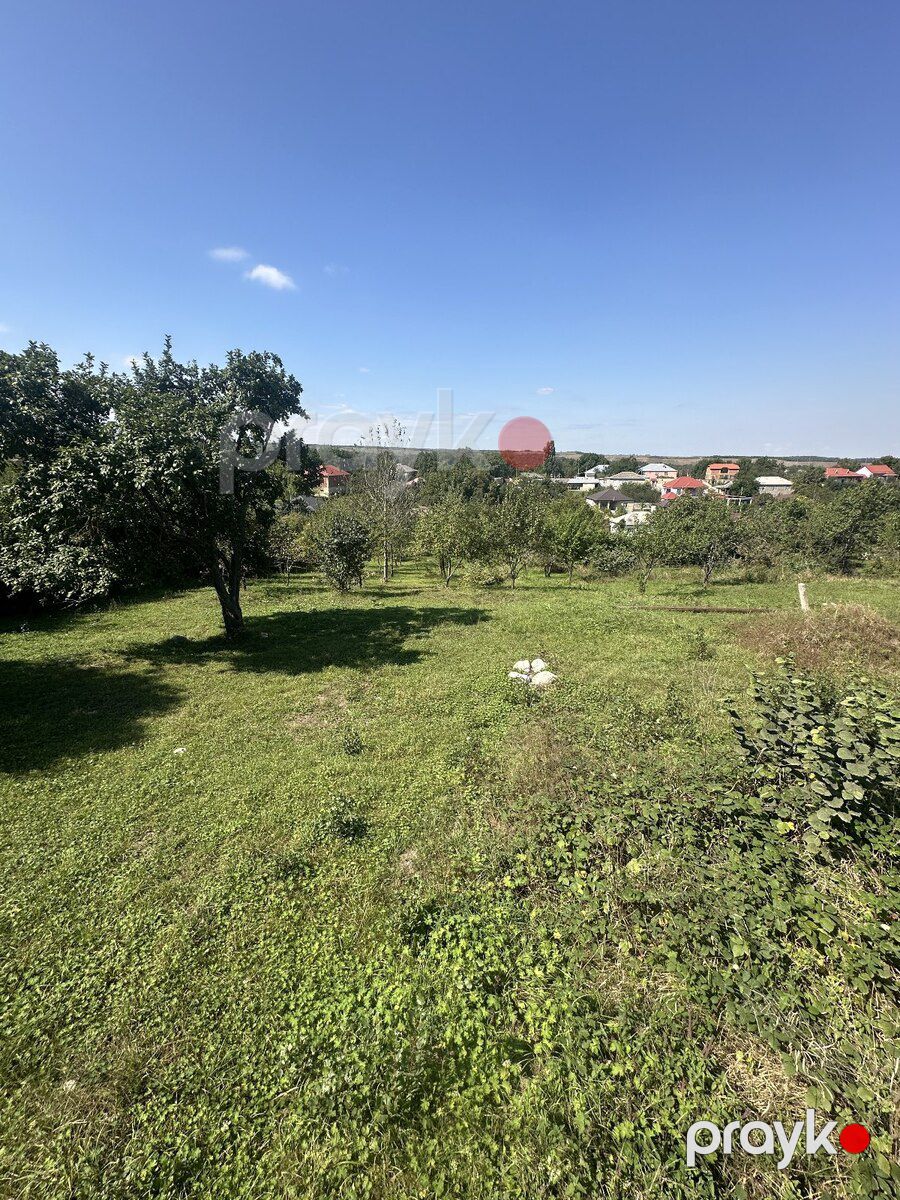 20 sot torpaq sahəsi, Quba r — Torpaq, Quba (6)