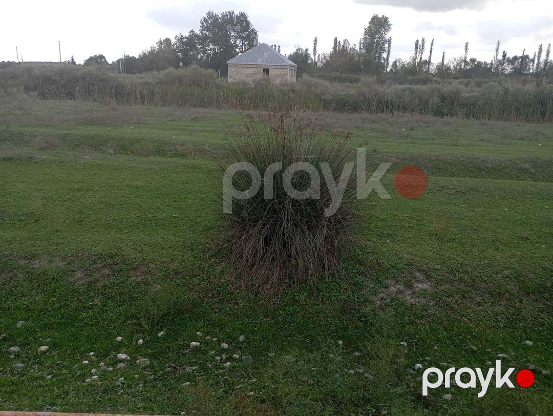 Satılır torpaq 10 sot — Torpaq, Xaçmaz (4)