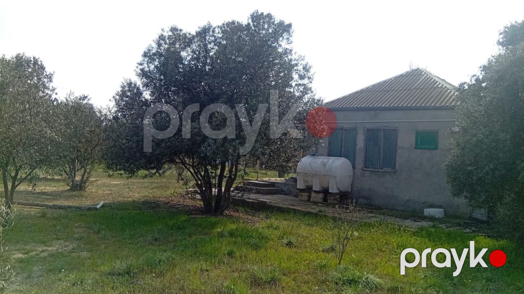 Satılır torpaq 20 sot — Torpaq, Bakı (3)
