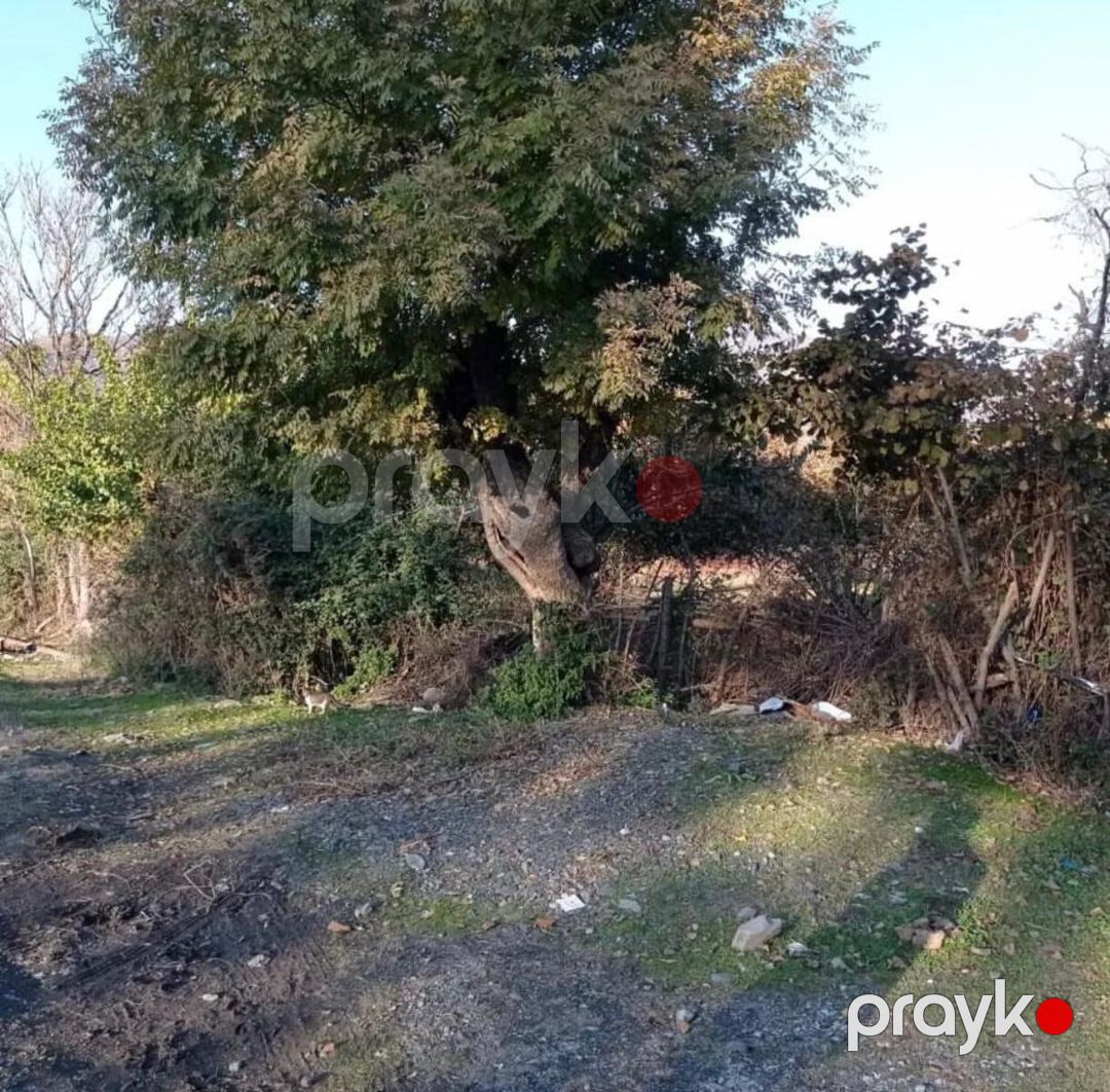 Satılır torpaq 54 sot — Torpaq, Zaqatala (7)