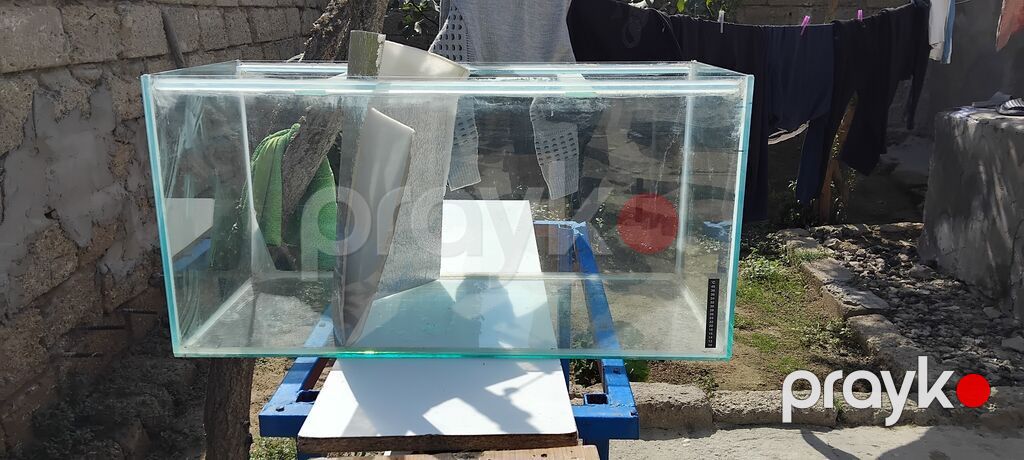 Dördbucaq akvarium, Boş, 225 l, Ünvandan götürmə — Akvariumlar və balıqlar, Bakı (2)