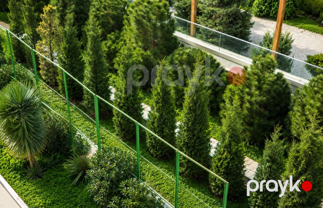 Satılır 7 otaqlı həyət evi/bağ evi 700 m² — Ev, villa, Bakı (10)