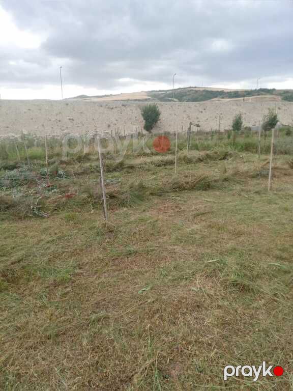Satılır torpaq 12 sot — Torpaq, Şamaxı (9)