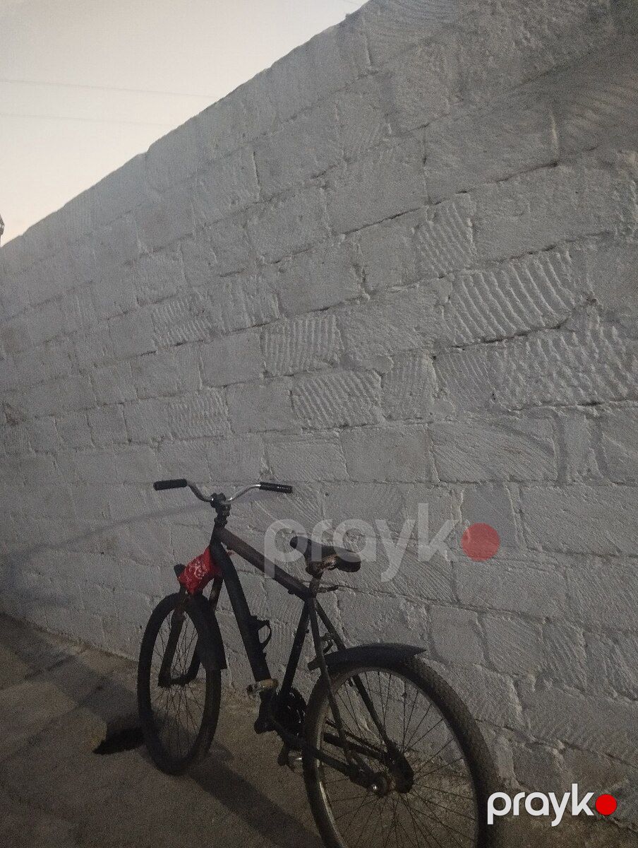 Velosiped — Velosipedlər, Sumqayıt (6)