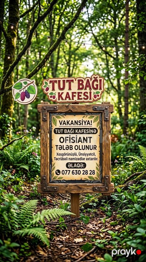Ofisiant tələb olunur, Kafe, İstənilən yaş, Təcrübəsiz — Sumqayıt