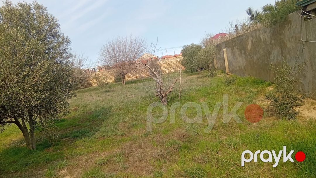 Satılır torpaq 20 sot — Torpaq, Bakı (7)