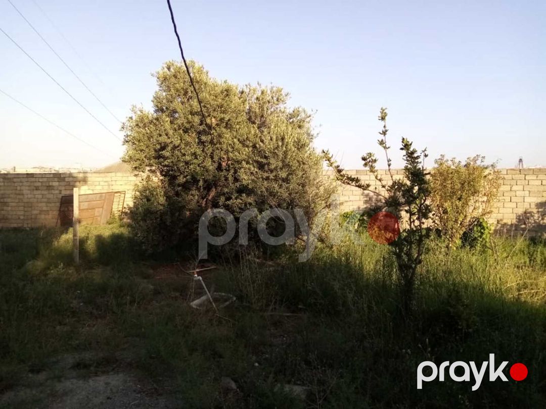 20 sot torpaq sahəsi, Sulutəpə qəs — Torpaq, Bakı (11)