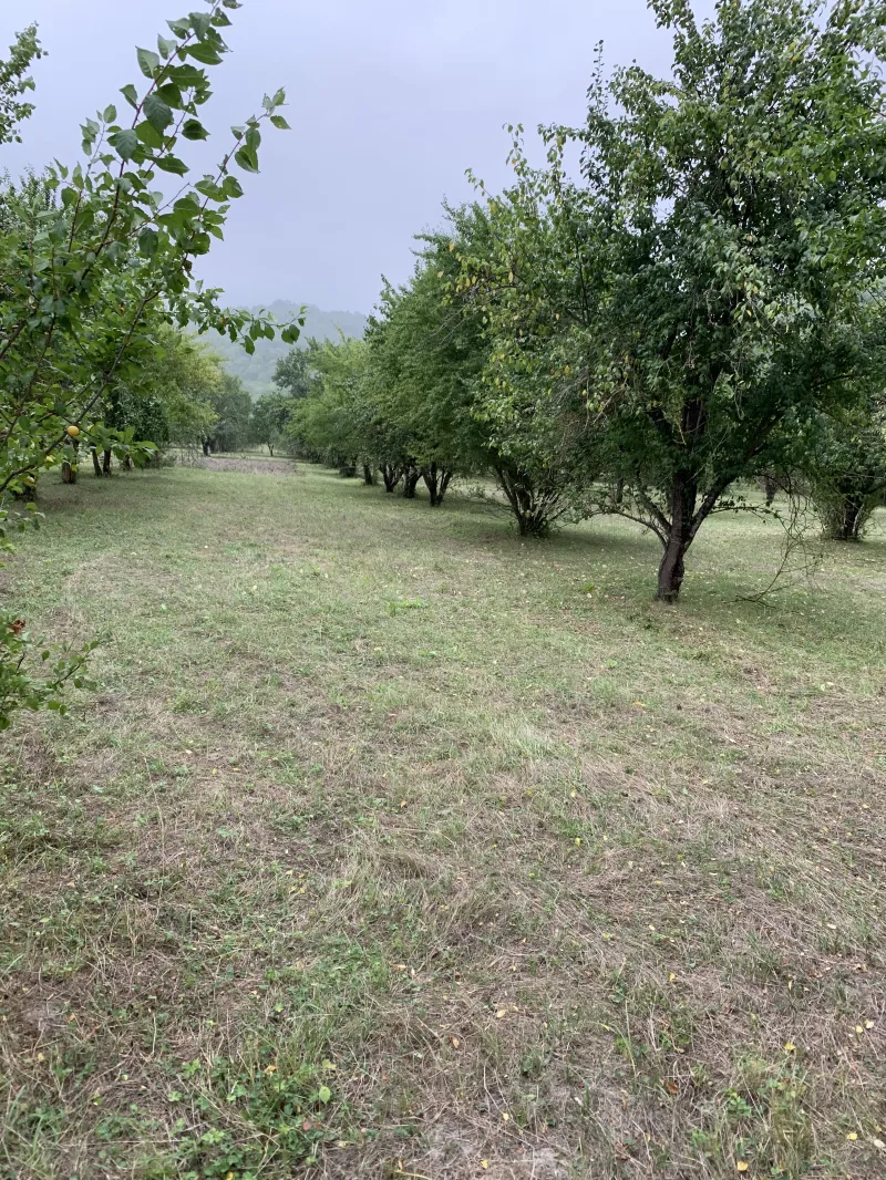 Satılır Torpaq 112 sot Quba — Torpaq, Quba (2)