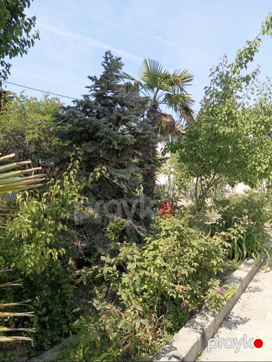 Satılır 5 otaqlı həyət evi/bağ evi 280 m² — Ev, villa, Bakı (3)