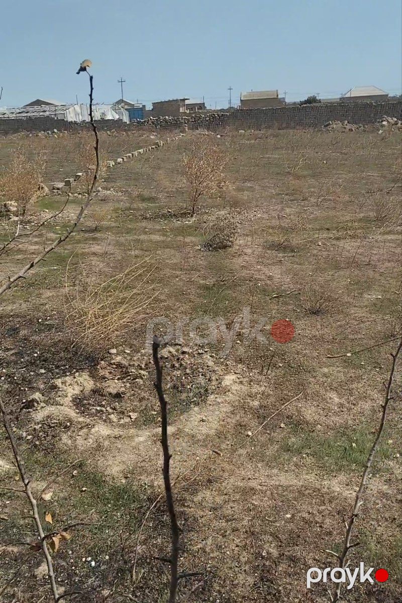 Satılır torpaq 19 sot — Torpaq, Bakı (5)