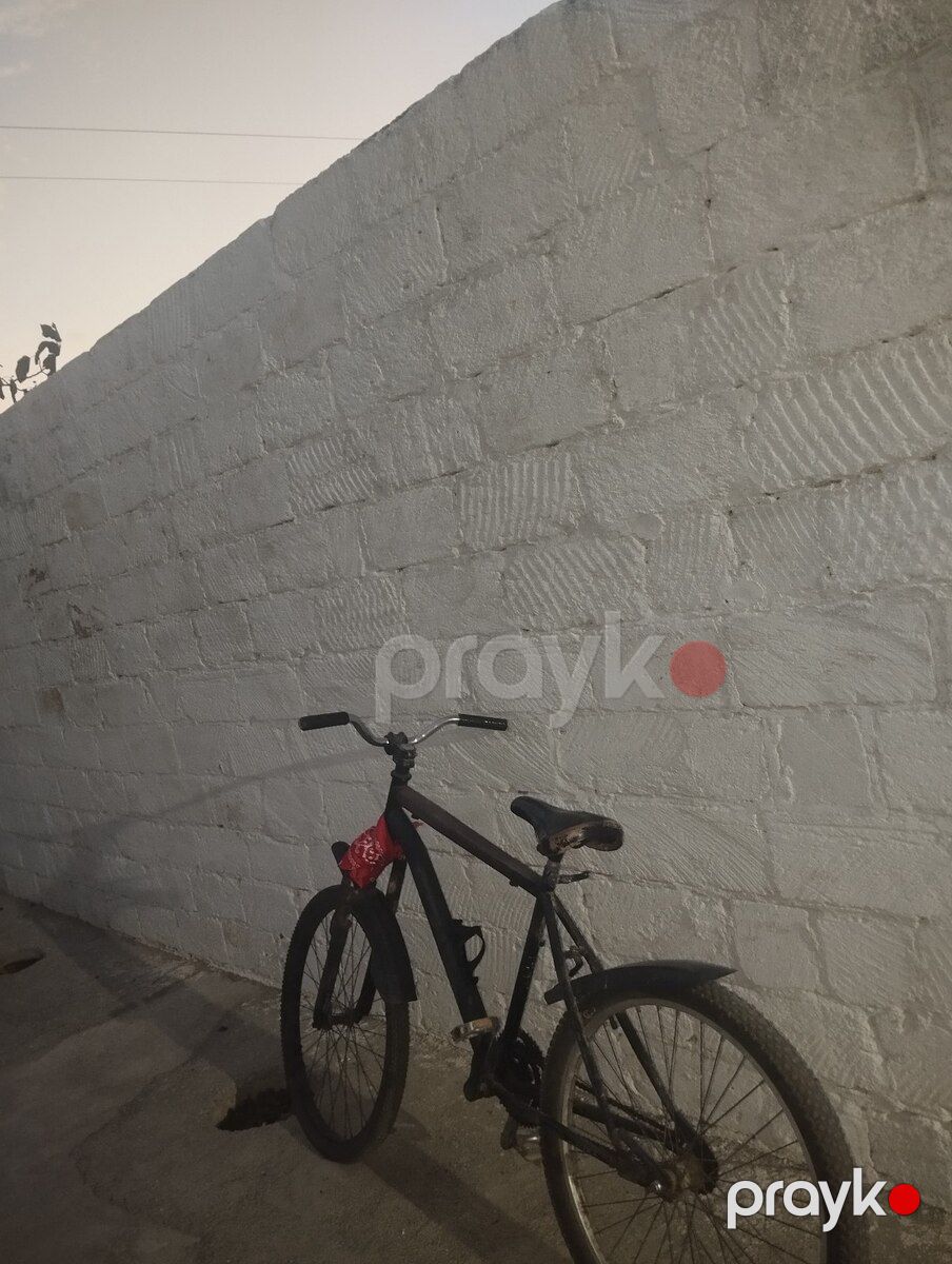 Velosiped — Velosipedlər, Sumqayıt (4)