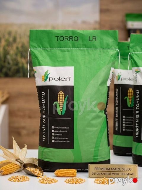 Torro qarğıdalı toxumu — Bakı
