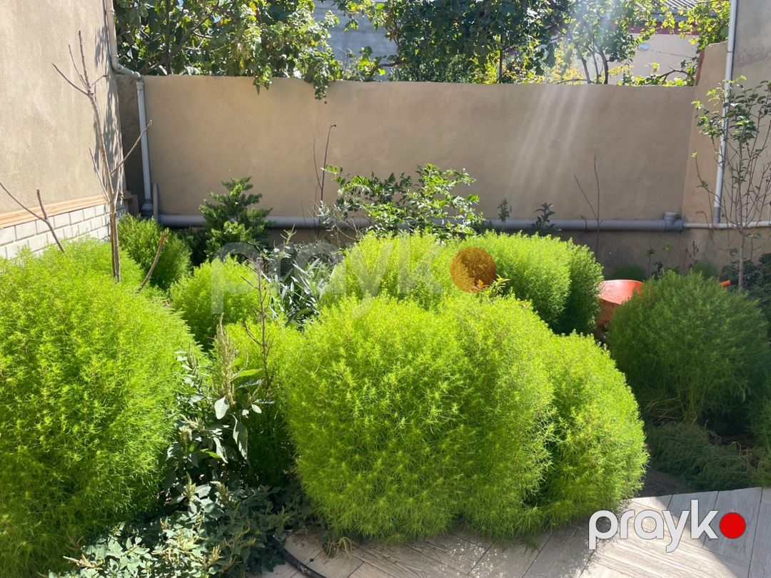 Həyət evi, Saray qəs — Ev, villa, Bakı (11)