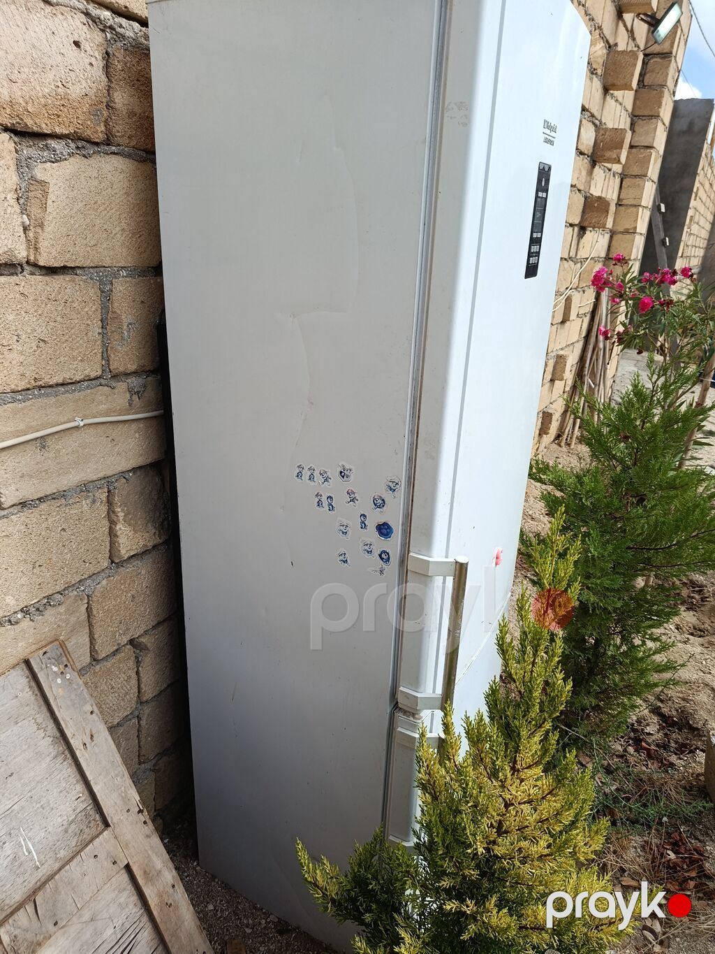 İşlənmiş 2 qapılı Hotpoint Ariston Soyuducu Satılır, rəng - Ağ — Soyuducular, Fatmayı (5)