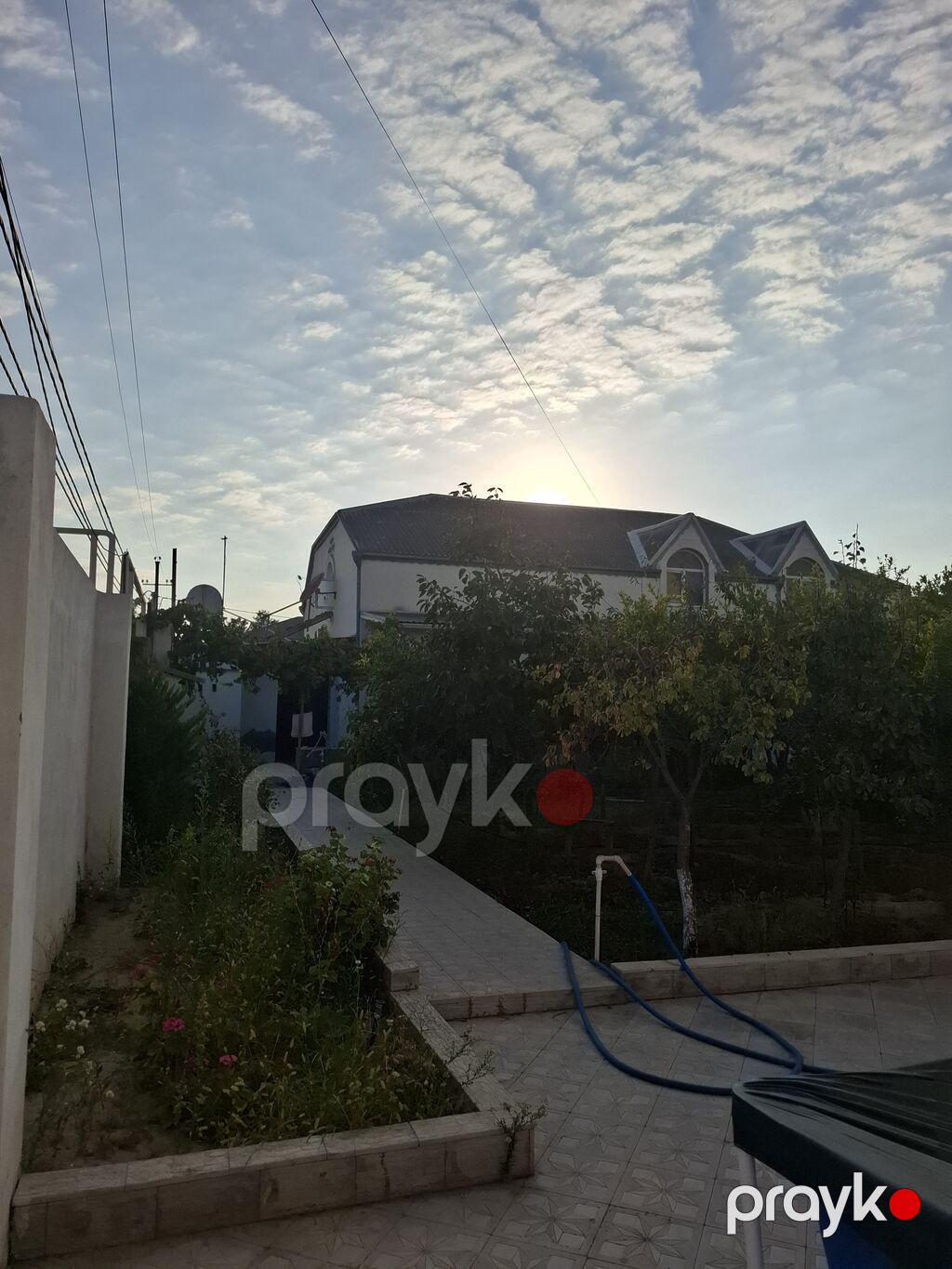 Meyvə bağ sahəsi satılır - Sahədə müxtəlif meyvə ağacları əkilib — Torpaq, Bakı (5)
