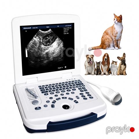 USM cihazı Longermay Vet580 — Bakı