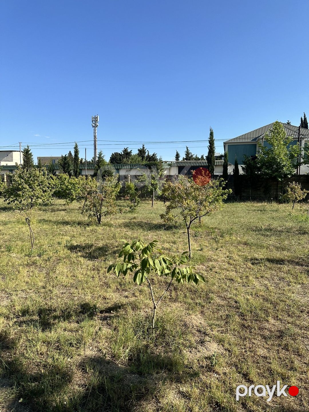 Satılır torpaq 5 sot — Torpaq, Bakı (4)