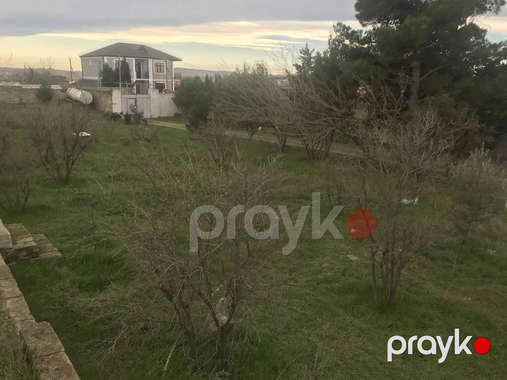 Xüsusi mülkiyyət, su, işıq, qaz, internet xətləri mövcüddur. Hamısı — Torpaq, Saray (7)