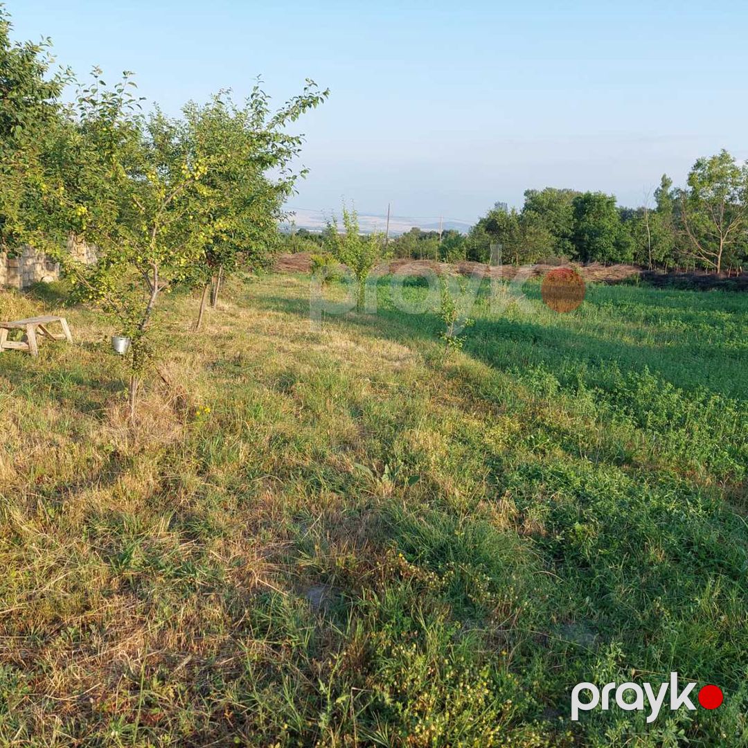 12 sot torpaq sahəsi, Oğuz r — Torpaq, Oğuz (4)
