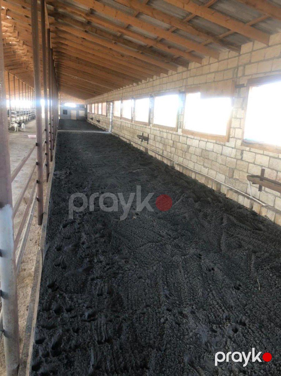 100 sot torpaq sahəsi, İmişli r — Torpaq, İmişli (4)