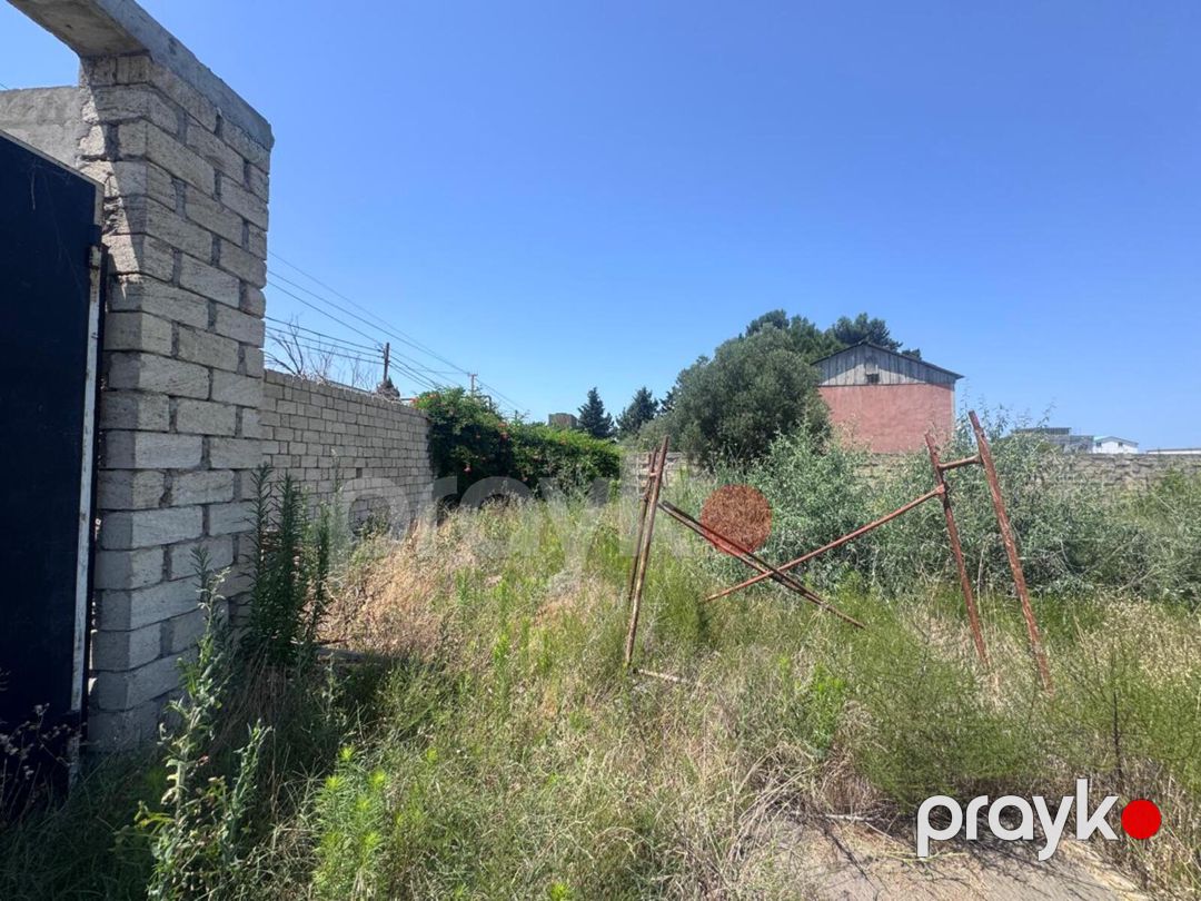 Satılır torpaq 25 sot — Torpaq, Bakı (8)