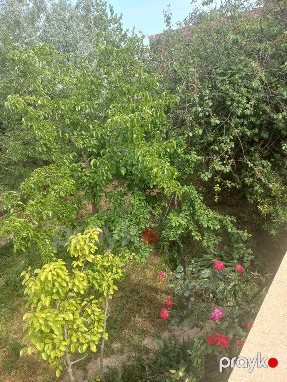 Həyət evi, Sulutəpə qəs — Ev, villa, Bakı (5)