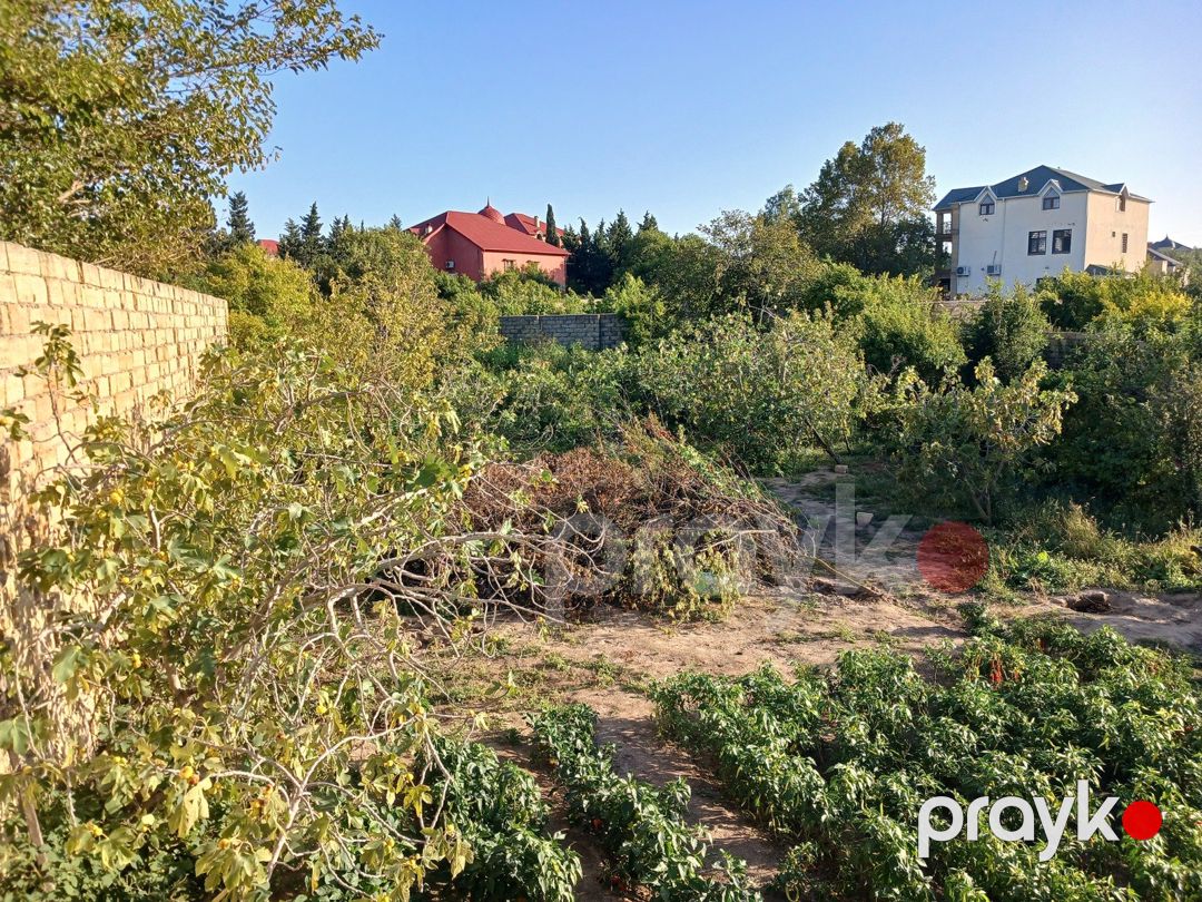 Satılır torpaq 10 sot — Torpaq, Bakı (12)