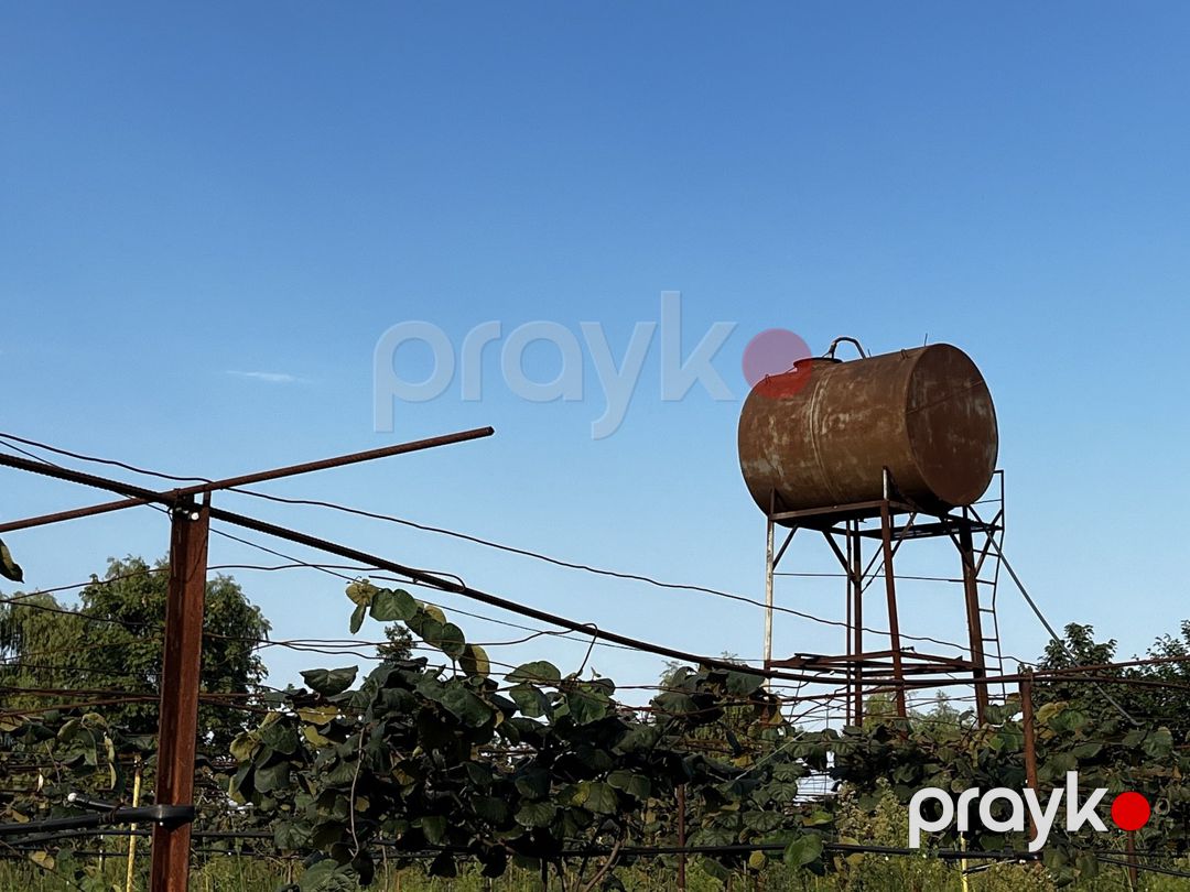78 sot torpaq sahəsi, Astara r — Torpaq, Astara (2)