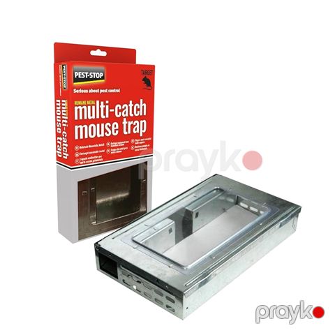 Siçan tələsi Pspmmt — Bakı