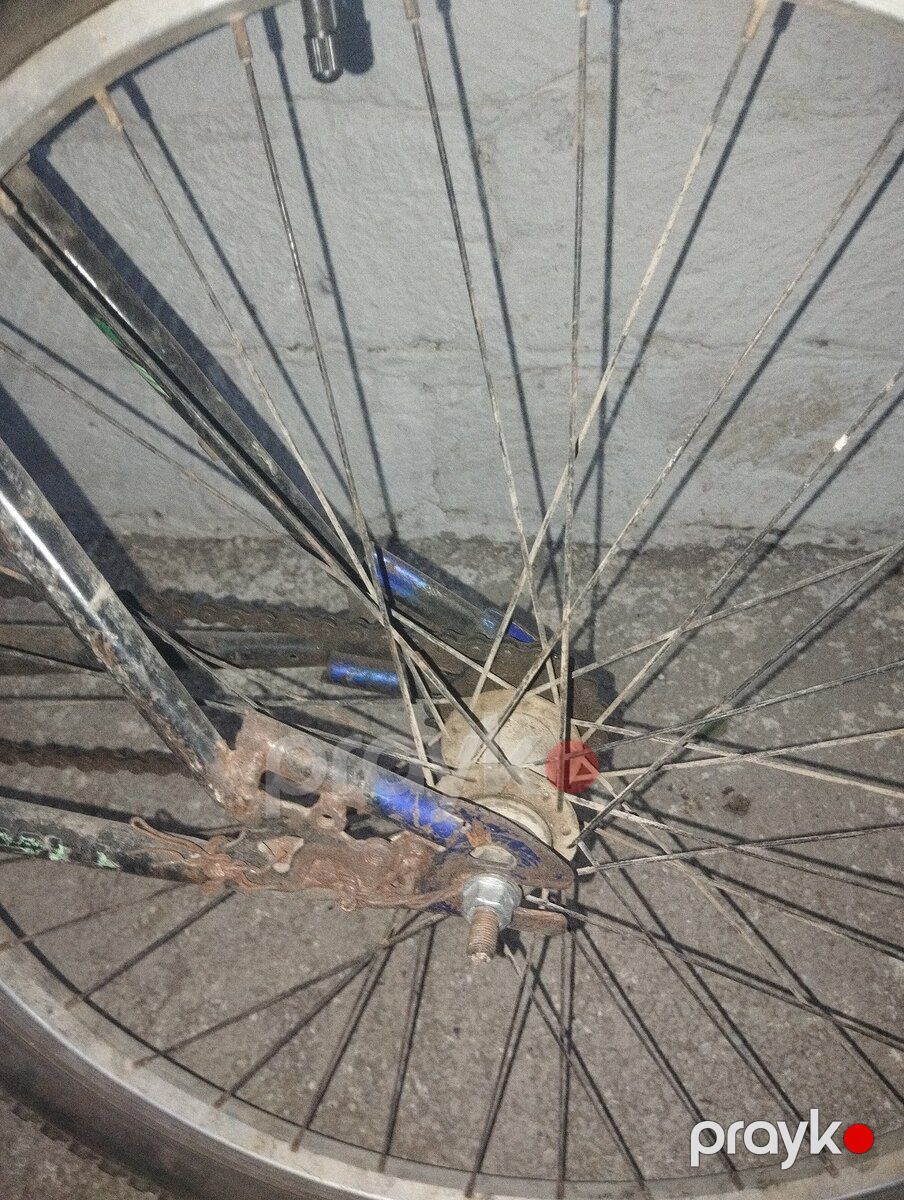 Velosiped — Velosipedlər, Sumqayıt (7)