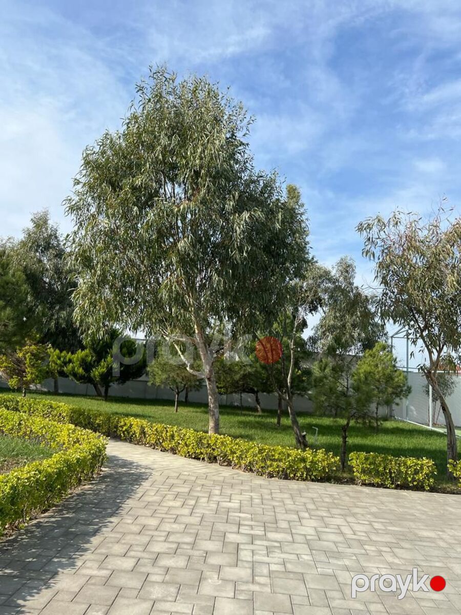 Satılır 6 otaqlı həyət evi/bağ evi 255 m² — Ev, villa, Bakı (12)