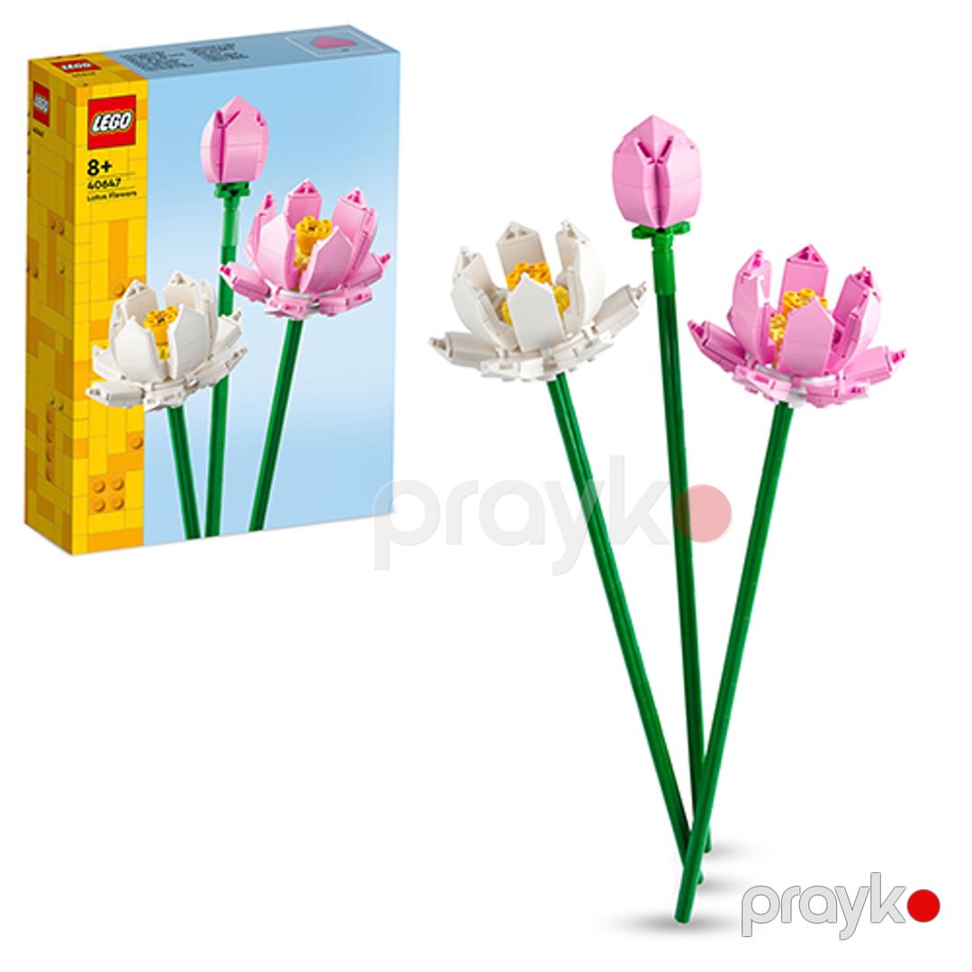 Konstruktor No Brand Icons Lotus Flowers 40647 — Mallar, Bakı (2)