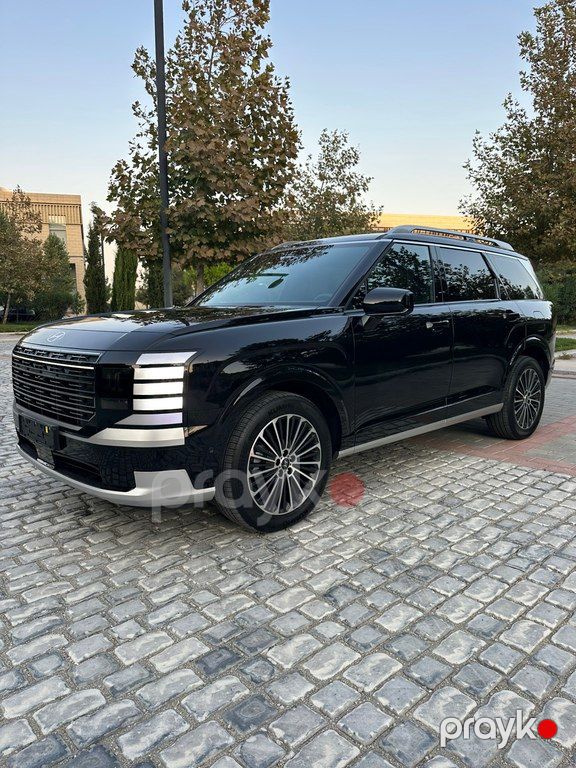 Hyundai Palisade, 2.5 L, 165 kWh, 2025 il, 2 500 km — Avtomobillər, Bakı (4)
