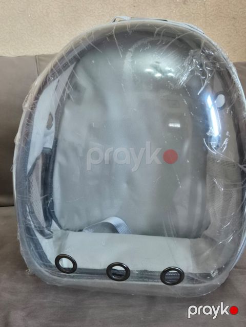 Proplan firmasi pisik cantasi yenidi — Bakı