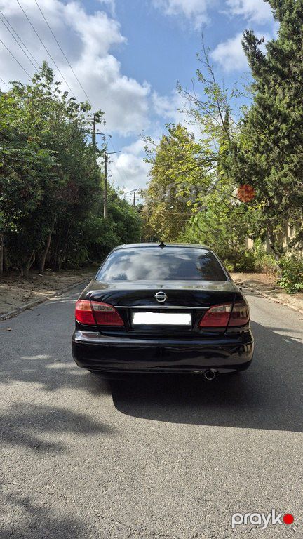 Nissan Maxima, 3.0 L, 2005 il, 249 000 km — Avtomobillər, Bakı (6)