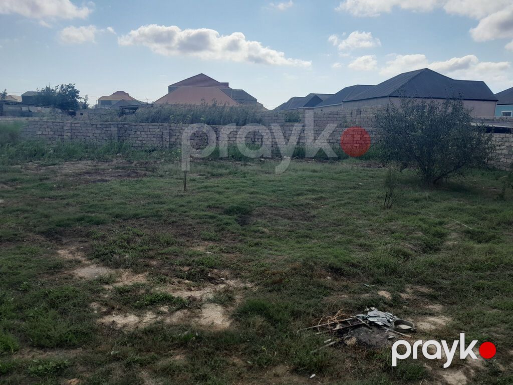 Sabunçu Rayonu ramana südçülük savxozunda əsas yoldan 20 metr kənarda — Torpaq, Bakı (2)