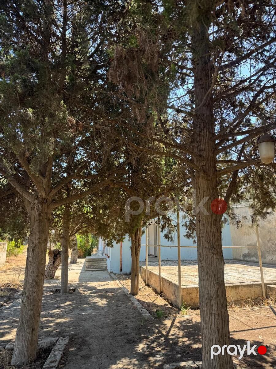 Bağ evi kirayə verilir, Şüvəlan qəs — Ev, villa, Bakı (2)