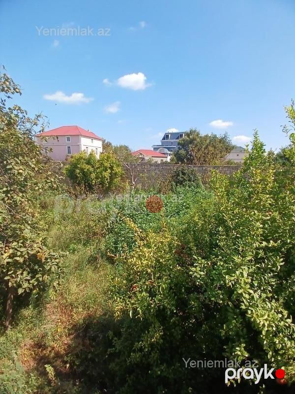 Satılır Torpaq sahəsi, 10 sot, Novxanı — Torpaq, Abşeron (10)