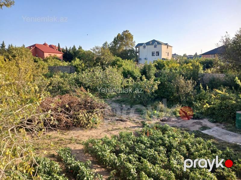Satılır Torpaq sahəsi, 10 sot, Novxanı — Torpaq, Abşeron (12)