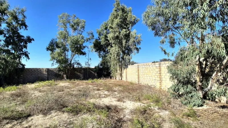 Satılır Torpaq 15 sot Bakı, Sabunçu r., Pirşağı — Bakı