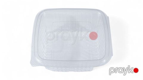 Birdəfəlik qab-qacaq dəsti sızdırmaz qab, 500 cc, qapaqlı, 15 ədəd - Loyal_3503831475 — Bakı