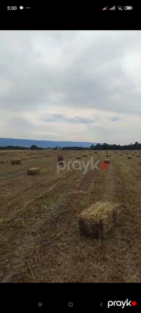 3.65 sot torpaq sahəsi, Zaqatala r — Torpaq, Zaqatala (3)
