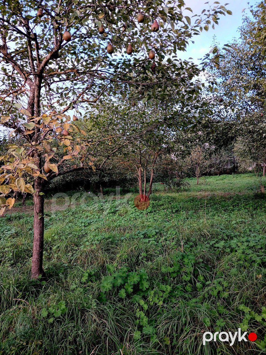 Satılır torpaq 25 sot — Torpaq, Quba (3)