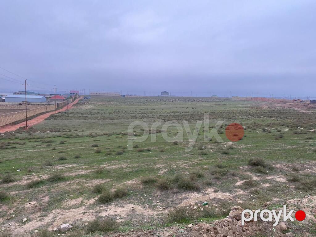 Satılır torpaq 366 sot — Torpaq, Bakı (4)
